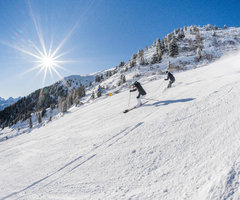 © 2026 Gasthof Löwen